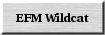 wildcat